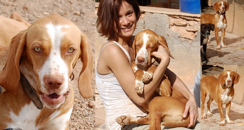 gaby-adopted