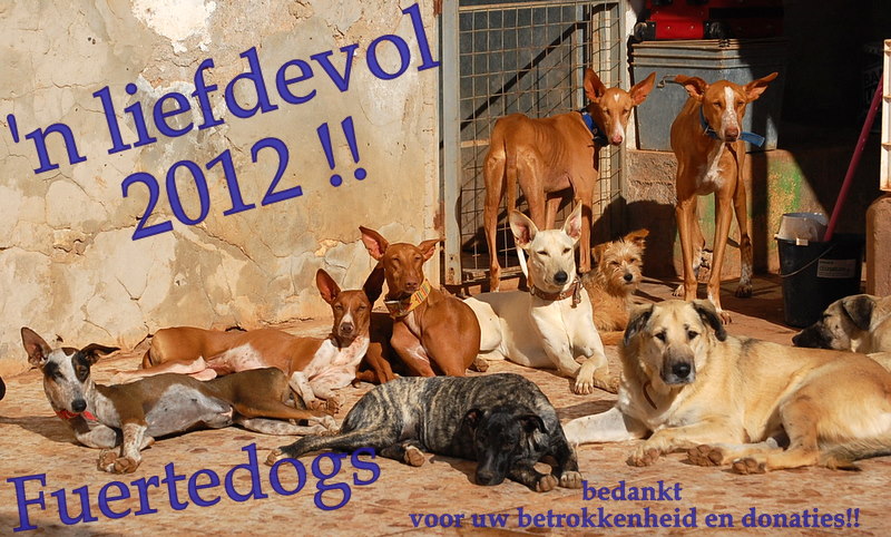 2012-_FUERTEDOGS